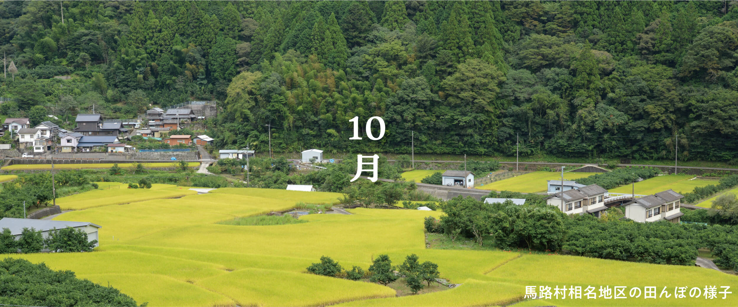 PC用メインビジュアル