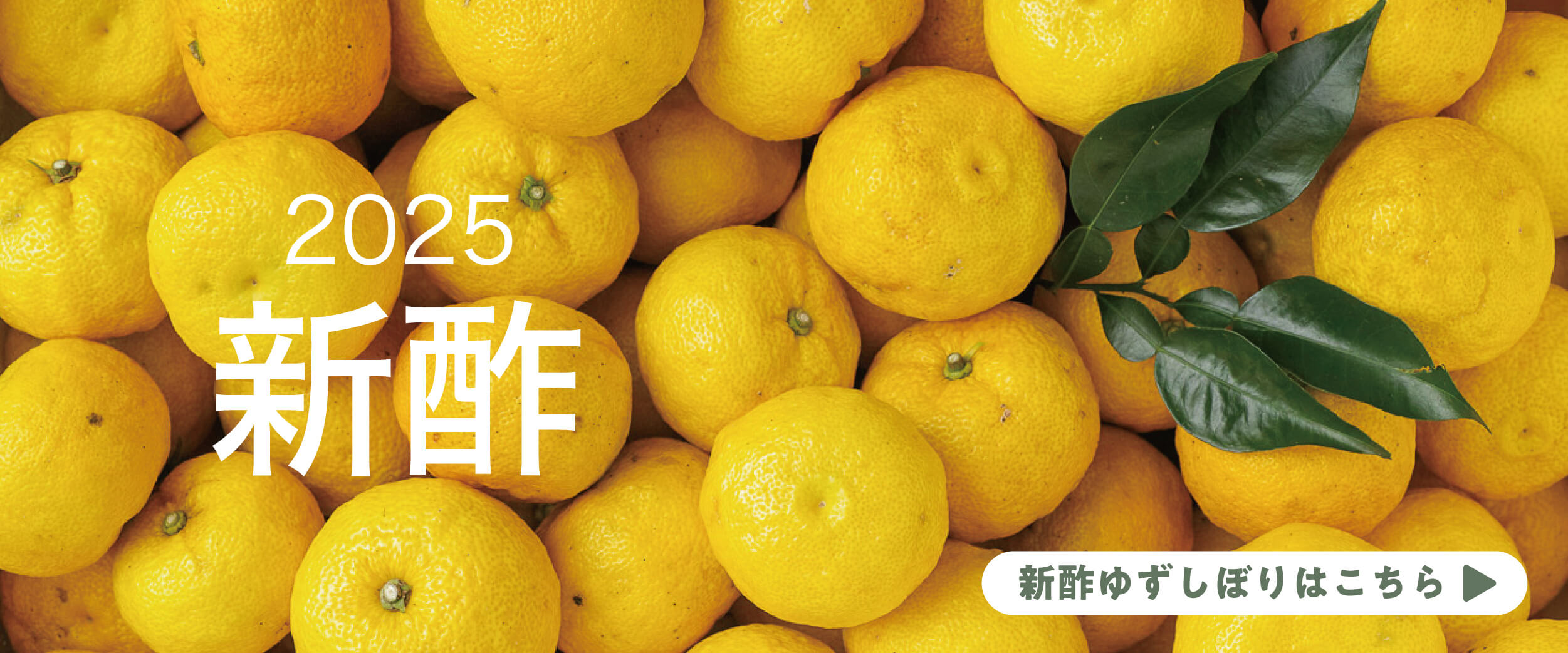 PC用メインビジュアル