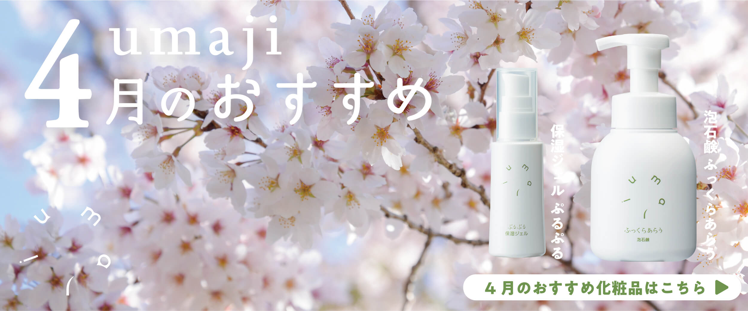 PC用メインビジュアル