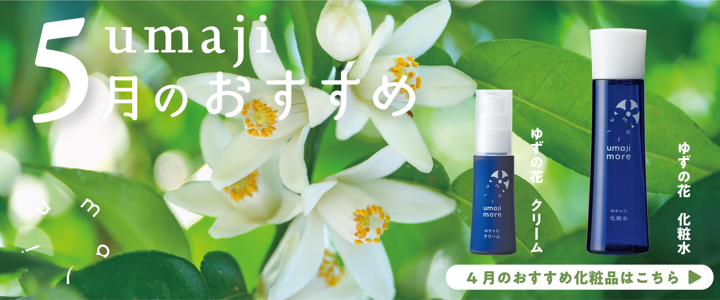 PC用メインビジュアル