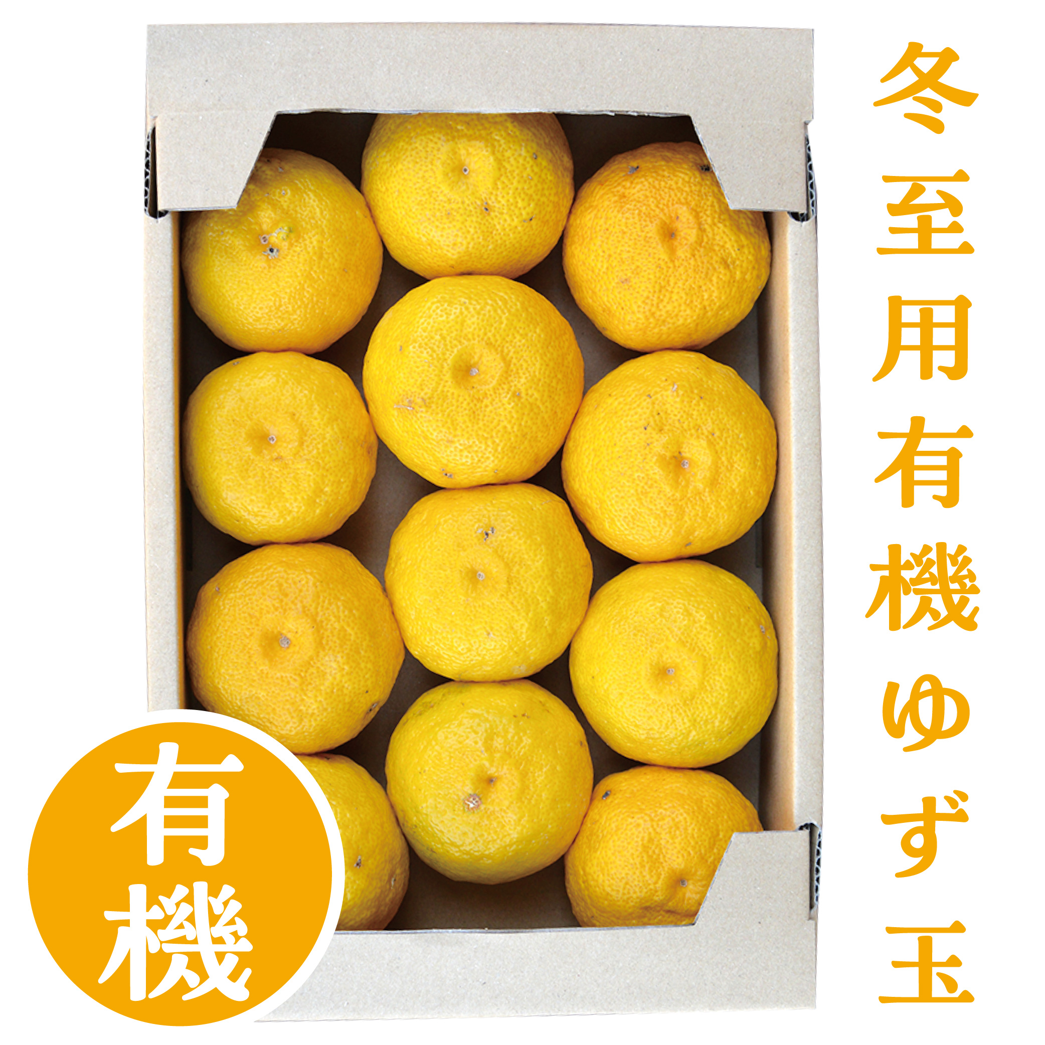 【ネット限定】冬至用　有機黄ゆず　1.5kg(9玉から16玉)
