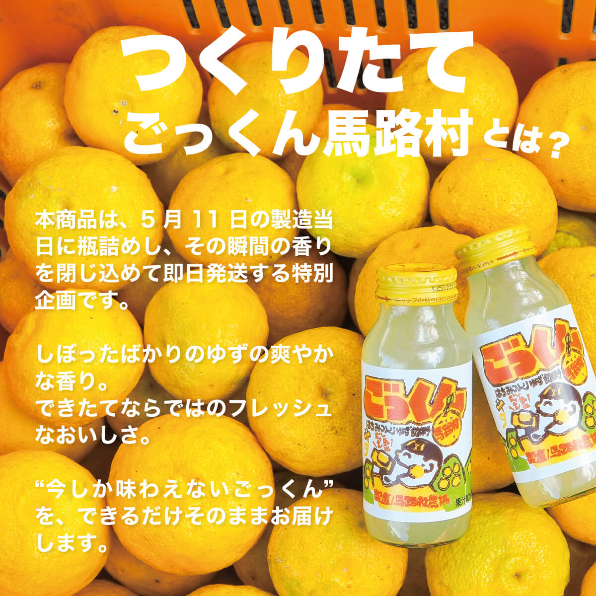 【ごっくんの日限定】つくりたてごっくん馬路村　180ml×24本入