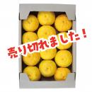 お山の黄ゆず 1.5kg(約9玉～14玉)