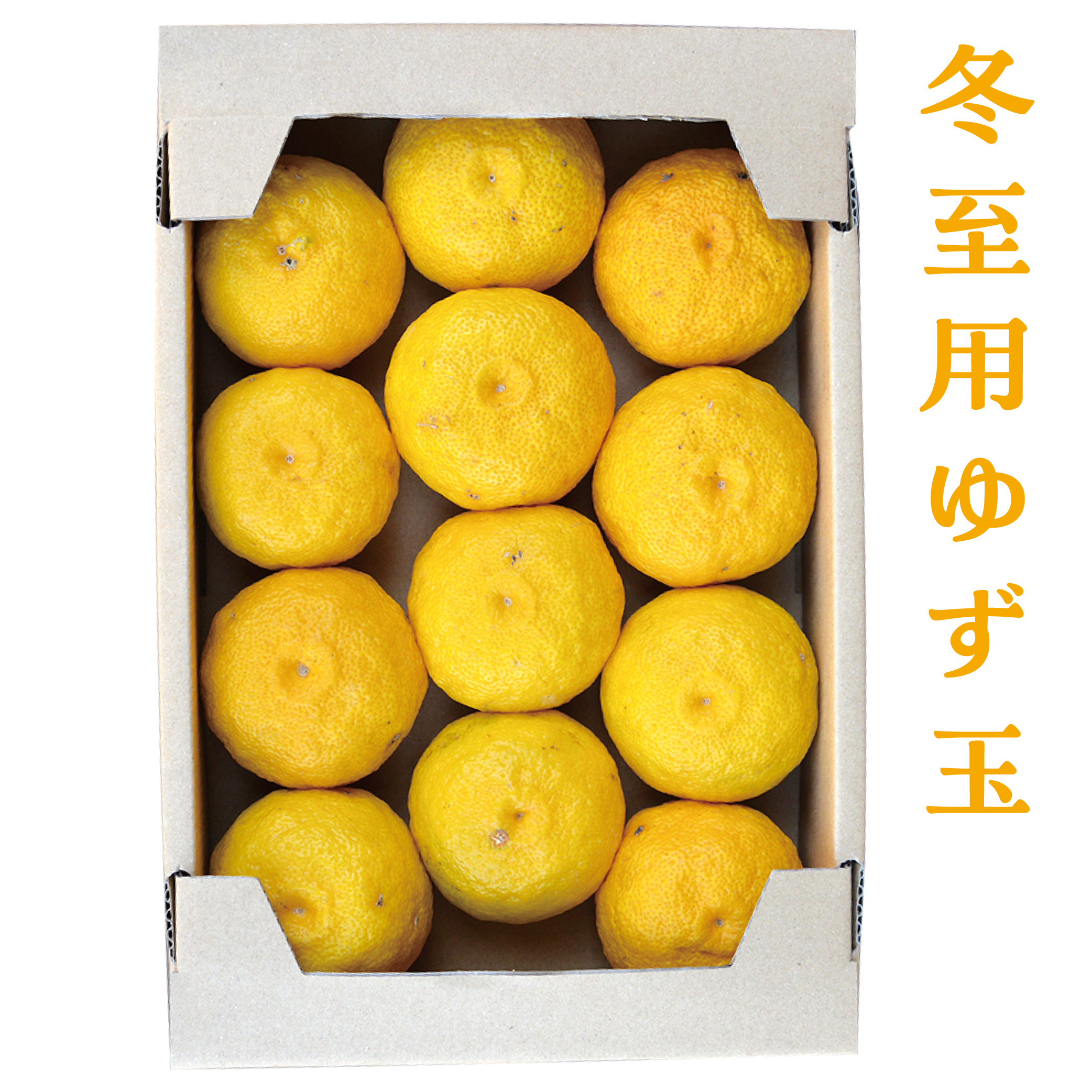 【ネット限定】冬至用　黄ゆず　1.5kg(9玉から16玉)