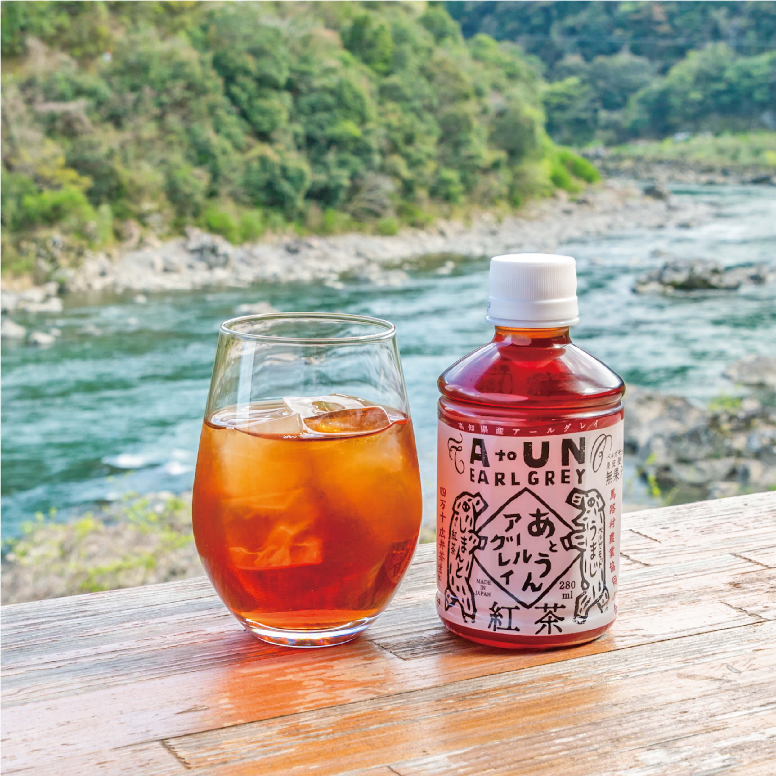 あとうんアールグレイＰＥＴ×２４本