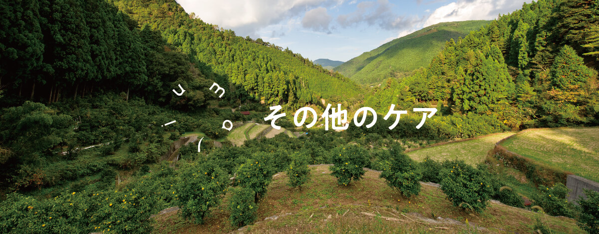 カテゴリ画像