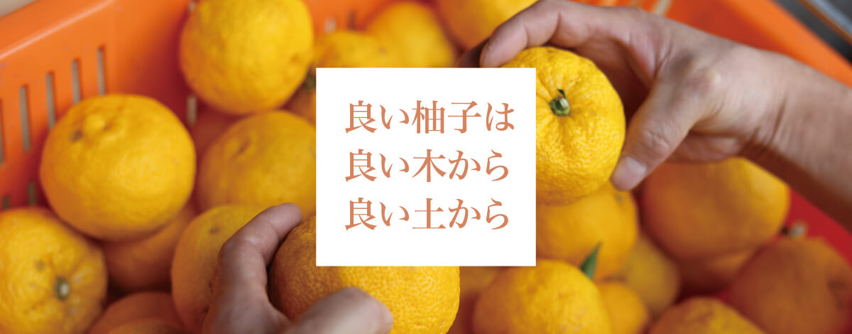 カテゴリ画像