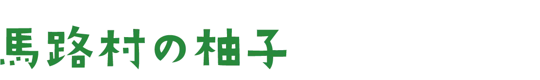 馬路村の様子