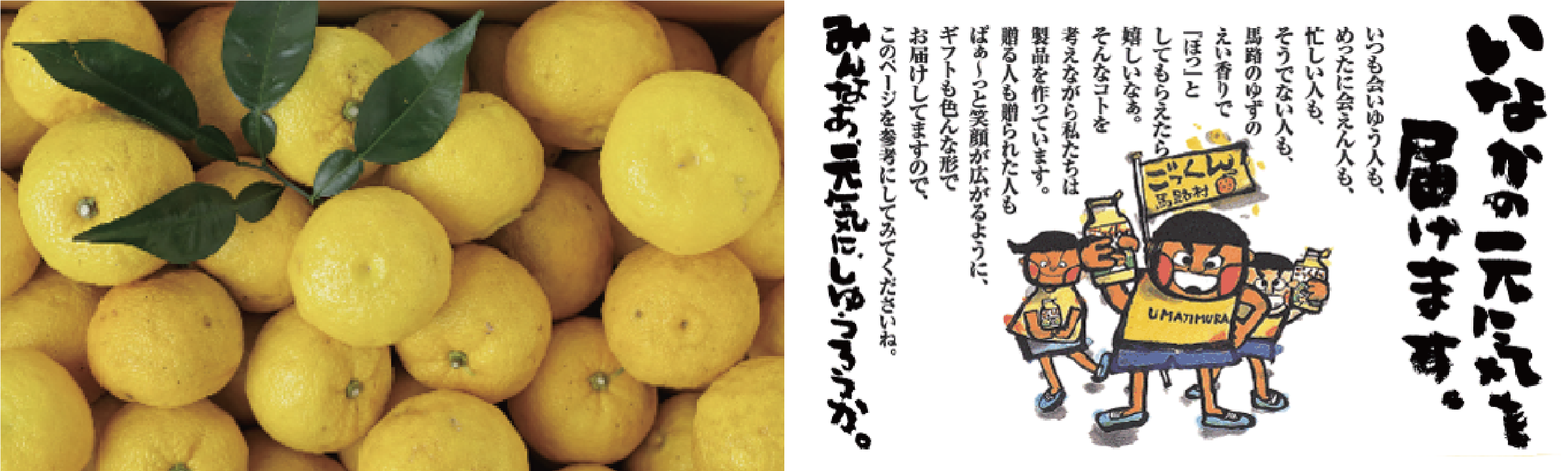 田舎の元気を届けます